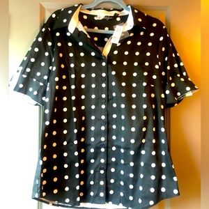 Express short sleeve button down shirt.